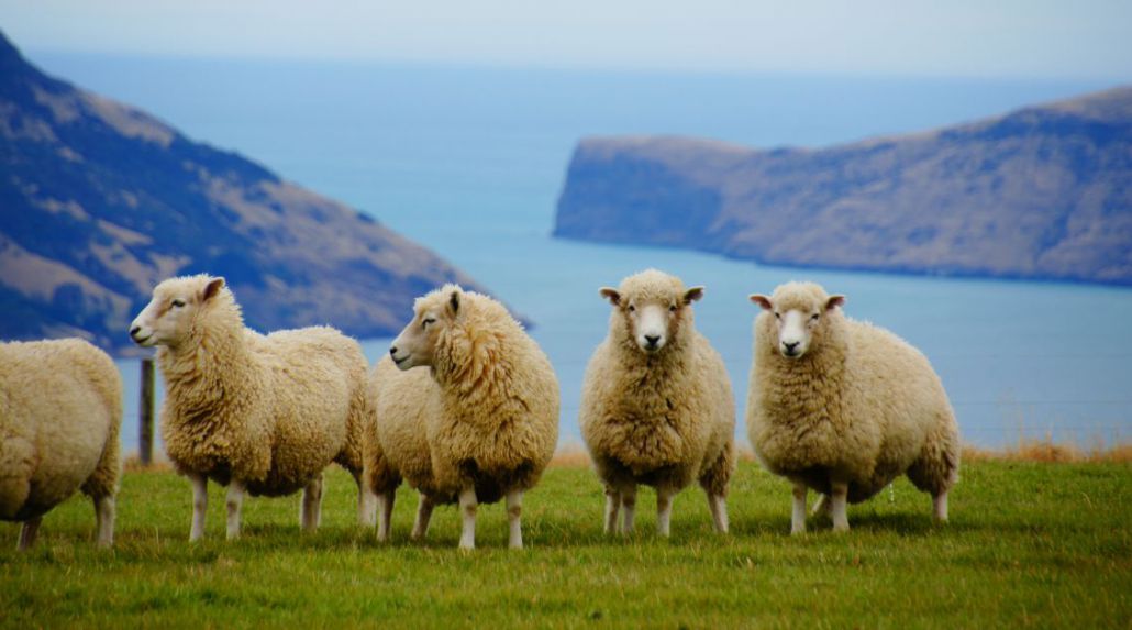 12-Day British Isles Cruise with France & Belfast