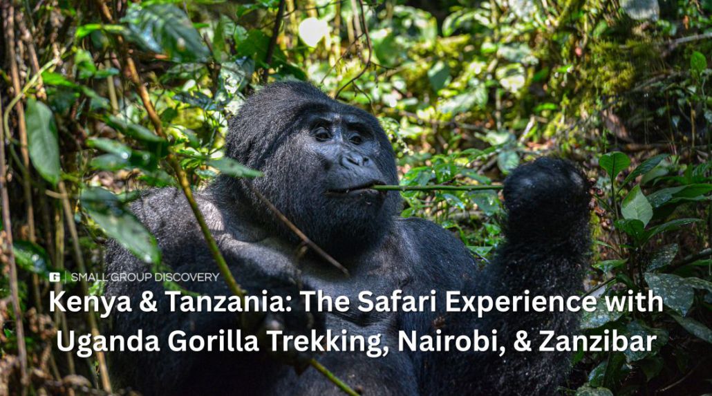 21 Day Small Group Safari Experience 