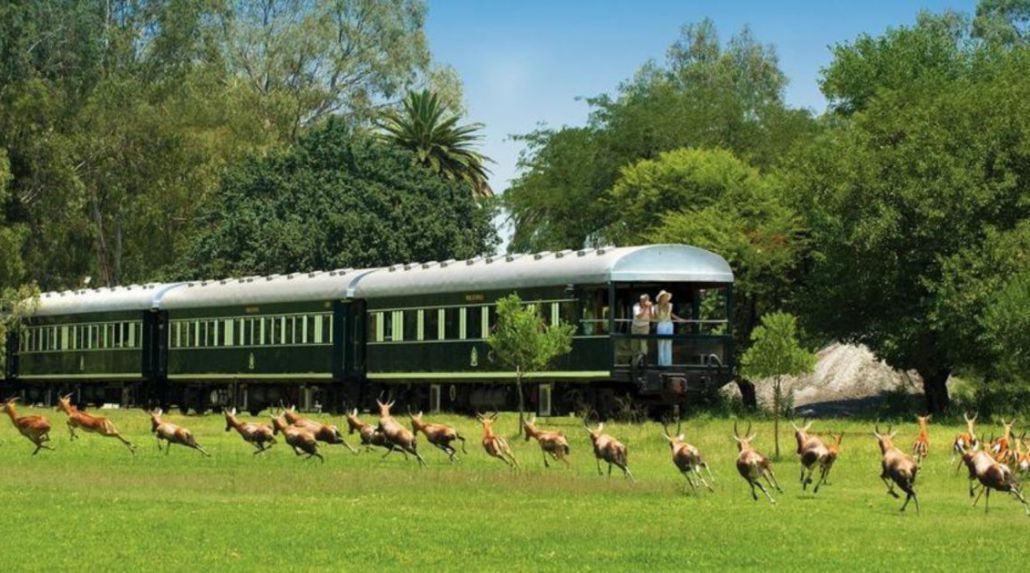 Luxury Rovos Rail & Safari Experience